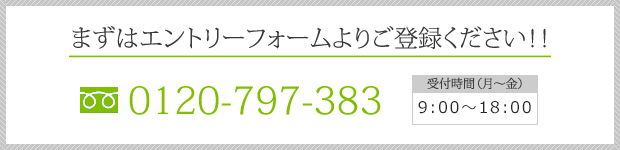 0120-797-383